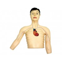 【益聯醫學】PICC介入模型